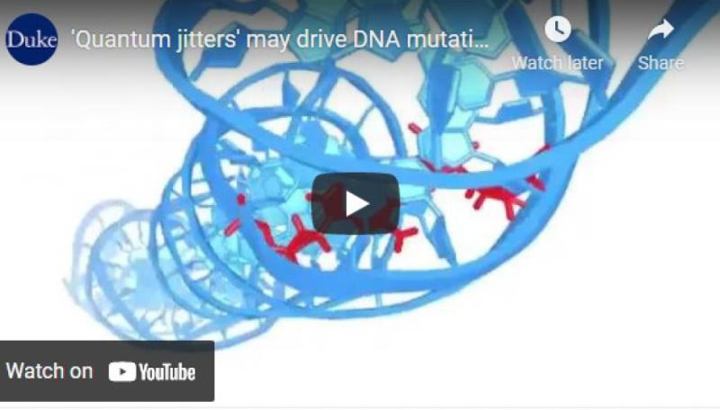 Quantum Jitters my drive DNA mutation